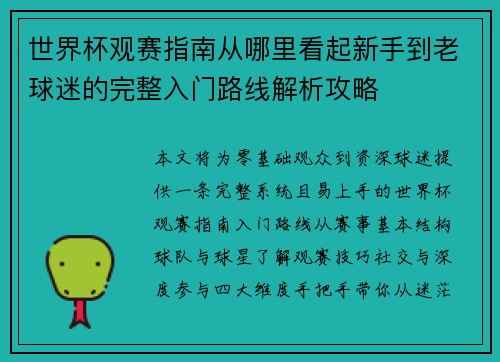 世界杯观赛指南从哪里看起新手到老球迷的完整入门路线解析攻略